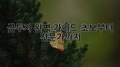 금투자 완벽 가이드: 초보부터 전문가까지