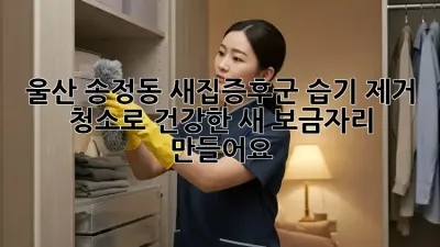 울산 송정동 새집증후군? 습기 제거 청소로 건강한 새 보금자리 만들어요!